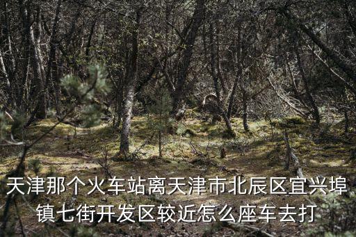 天津市宜興埠七街村，天津那個火車站離天津市北辰區宜興埠鎮七街開發區較近怎么座車去打