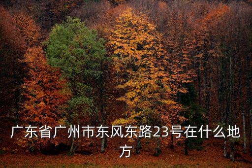 廣東省廣州市東風(fēng)東路23號在什么地方