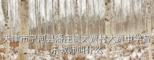 天津市寧河縣潘莊鎮大賈村大賈中學音樂教師叫什么