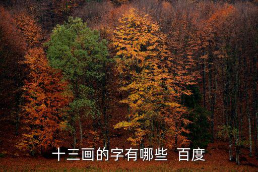 十三畫的字有哪些  百度