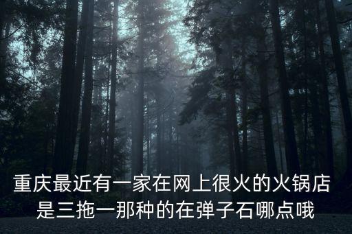 重慶最近有一家在網上很火的火鍋店 是三拖一那種的在彈子石哪點哦