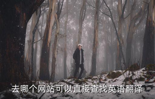 去哪個網站可以直接查找英語翻譯