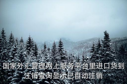 國家外匯管理網上服務平臺里進口貨到注銷查詢顯示已自動注銷