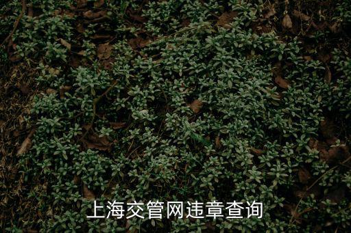 上海交管網(wǎng)違章查詢