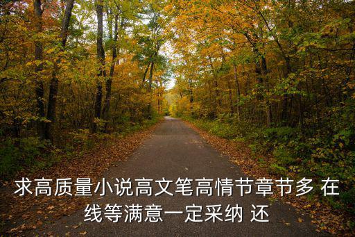 求高質量小說高文筆高情節章節多 在線等滿意一定采納 還