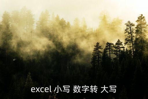 excel 小寫 數字轉 大寫