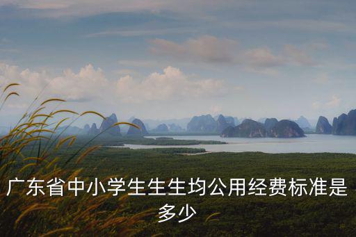 重慶市中小學(xué)生公用經(jīng)費(fèi)標(biāo)，2011年義務(wù)教育階段農(nóng)村學(xué)校中小學(xué)學(xué)生生均公用經(jīng)費(fèi)標(biāo)準(zhǔn)分別是多少