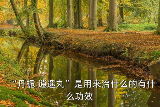 丹梔逍遙丸的功效,丹梔逍遙丸有哪些功效呢?