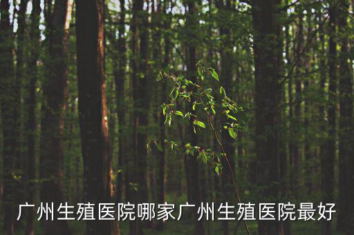 廣州生殖醫(yī)院哪家廣州生殖醫(yī)院最好