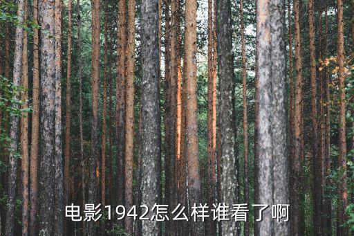 電影1942怎么樣誰看了啊