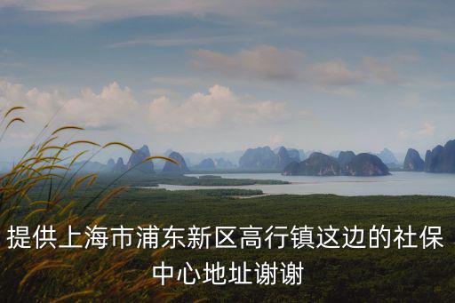 提供上海市浦東新區(qū)高行鎮(zhèn)這邊的社保中心地址謝謝