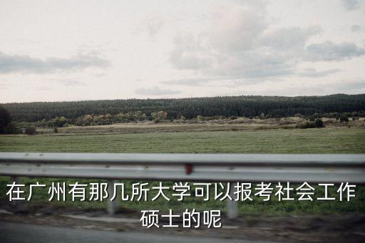 在廣州有那幾所大學(xué)可以報(bào)考社會(huì)工作碩士的呢