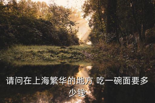 請問在上海繁華的地方 吃一碗面要多少錢