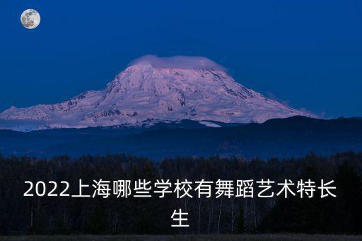 2022上海哪些學校有舞蹈藝術特長生
