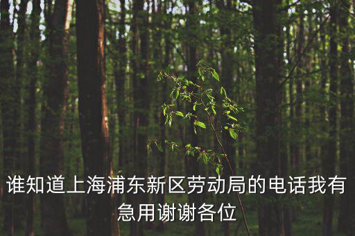 誰知道上海浦東新區勞動局的電話我有急用謝謝各位