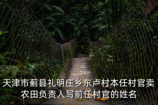 天津市薊縣禮明莊鄉東盧村本任村官賣農田負責人寫前任村官的姓名