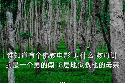 誰知道有個佛教電影`叫什么 救母講的是一個男的闖18層地獄救他的母親...