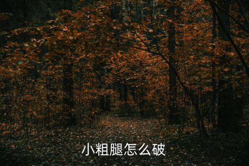 小粗腿怎么破