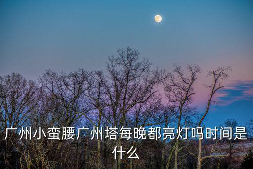 廣州小蠻腰廣州塔每晚都亮燈嗎時(shí)間是什么