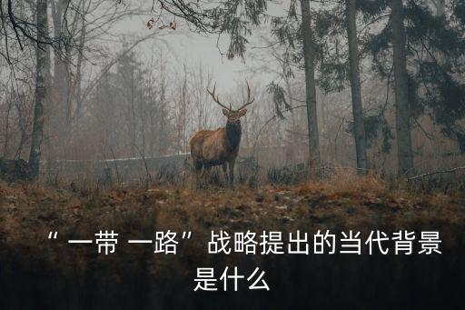 一帶一路會(huì)議,一帶一路戰(zhàn)略是"中國(guó)夢(mèng)"的延伸