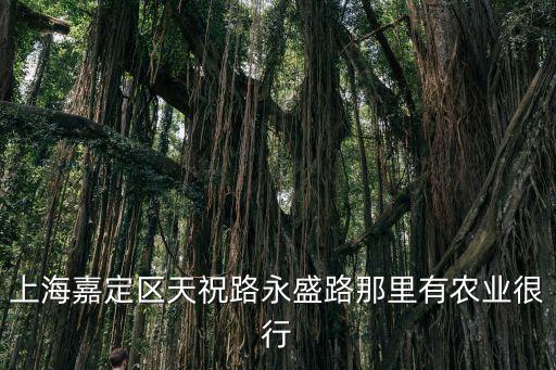 上海嘉定區(qū)天祝路永盛路那里有農(nóng)業(yè)很行