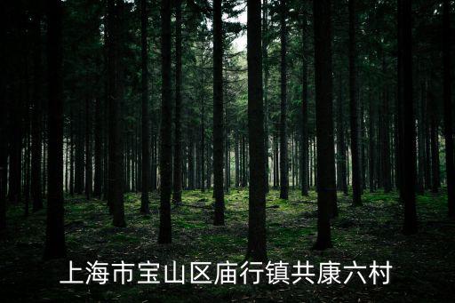 上海市寶山區(qū)廟行鎮(zhèn)野野村新聞，上海寶山廟行小額貸款股份有限公司是否真實(shí)存在