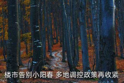 樓市告別小陽春 多地調控政策再收緊