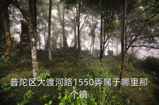 普陀區大渡河路1550弄屬于哪里那個鎮