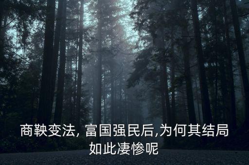富國強,過分關注國家經濟建設忽略人民生活狀況
