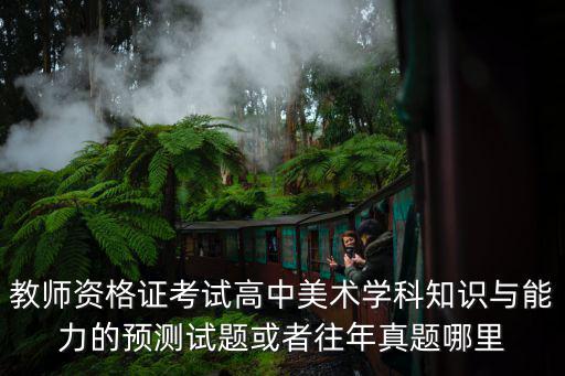 教師資格證考試高中美術(shù)學(xué)科知識(shí)與能力的預(yù)測試題或者往年真題哪里