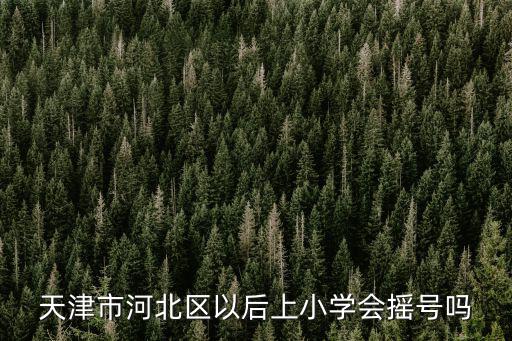 天津市河北區以后上小學會搖號嗎