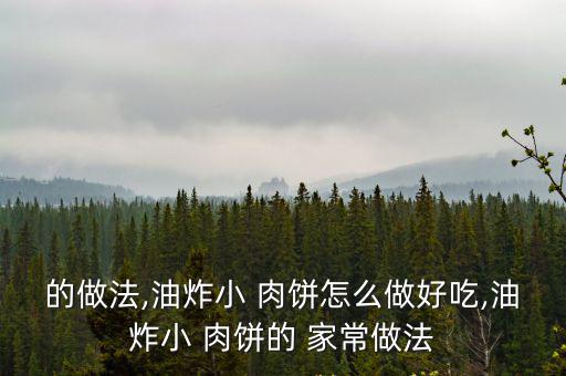 的做法,油炸小 肉餅怎么做好吃,油炸小 肉餅的 家常做法