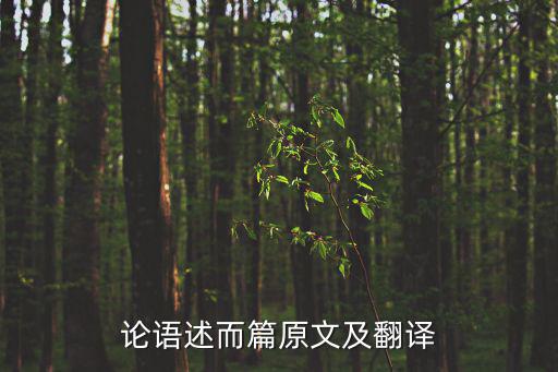 論語述而篇原文及翻譯