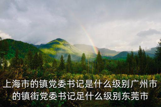 上海市各鎮書記，上海市的鎮黨委書記是什么級別廣州市的鎮街黨委書記足什么級別東莞市