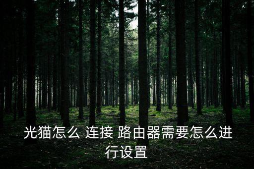  光貓怎么 連接 路由器需要怎么進(jìn)行設(shè)置