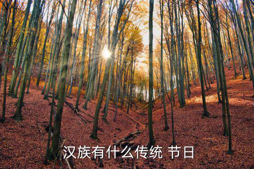 漢族節日,漢族傳統節日包括臘祭、祭祀廚房等在內