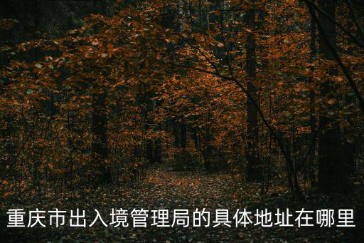 重慶市南岸經開區出入境管理，重慶出入境管理局到底在哪里