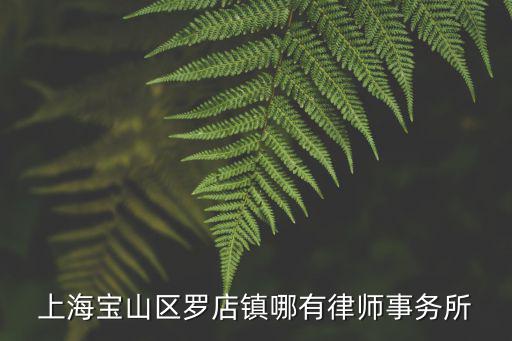 上海寶山區羅店鎮哪有律師事務所