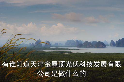 有誰知道天津金屋頂光伏科技發展有限公司是做什么的