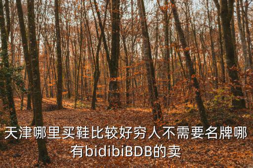 天津哪里買鞋比較好窮人不需要名牌哪有bidibiBDB的賣