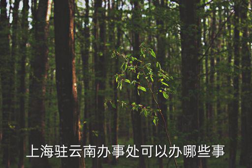 上海駐云南辦事處可以辦哪些事