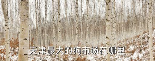 天津最大的狗市場(chǎng)在哪里