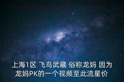 上海1區(qū) 飛鳥武藏 俗稱龍媽 因?yàn)辇垕孭K的一個(gè)視頻至此流星價(jià)