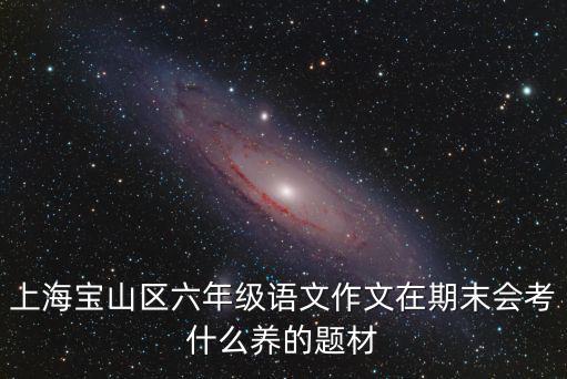 上海市六年級期末語文作文，上海寶山區六年級語文作文在期末會考什么養的題材
