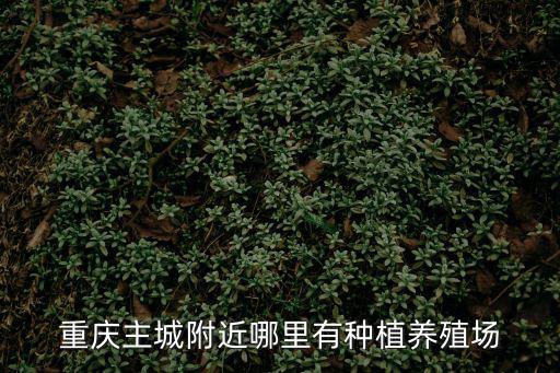 重慶主城附近哪里有種植養(yǎng)殖場