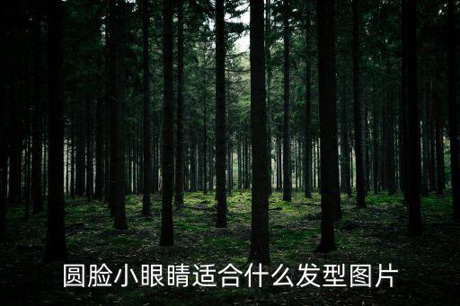 圓臉小眼睛適合什么發型圖片