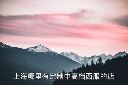 上海市遠東國際廣場的地址電話，日默瓦的箱子國內怎么保修