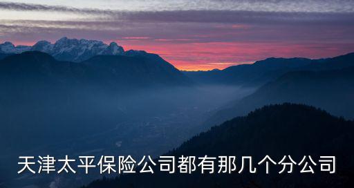 天津太平保險公司都有那幾個分公司