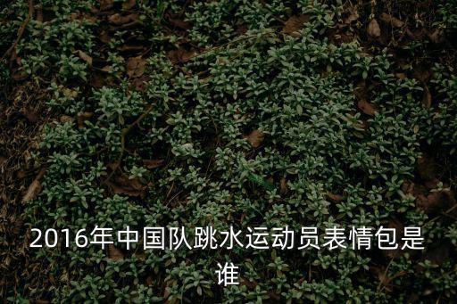 2016年中國隊跳水運動員表情包是誰