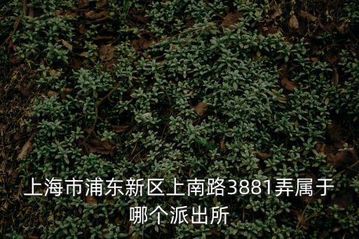 上海市浦東新區上南路3881弄屬于哪個派出所
